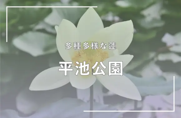 平池公園