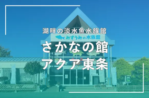 さかなの館 アクア東条