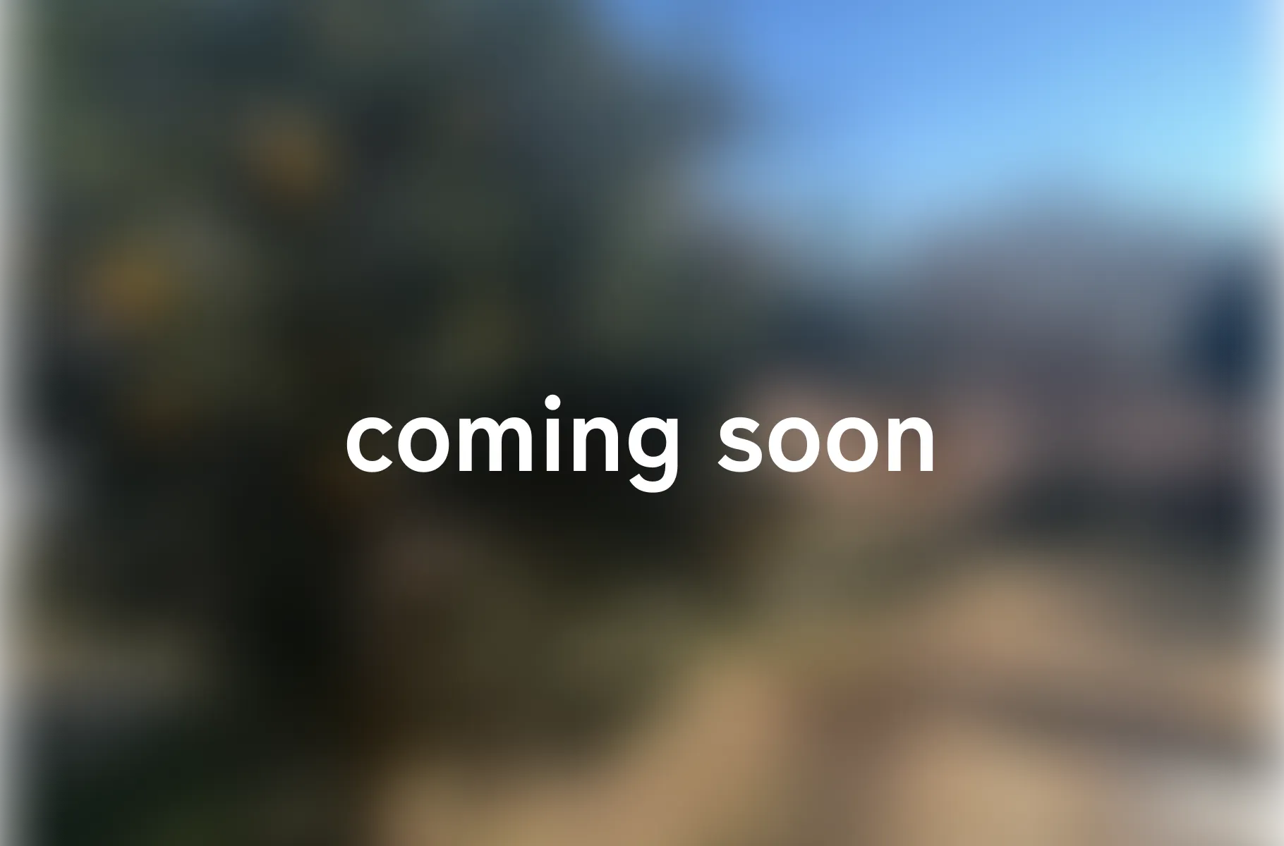 甘い夏のおもいで。の施設写真