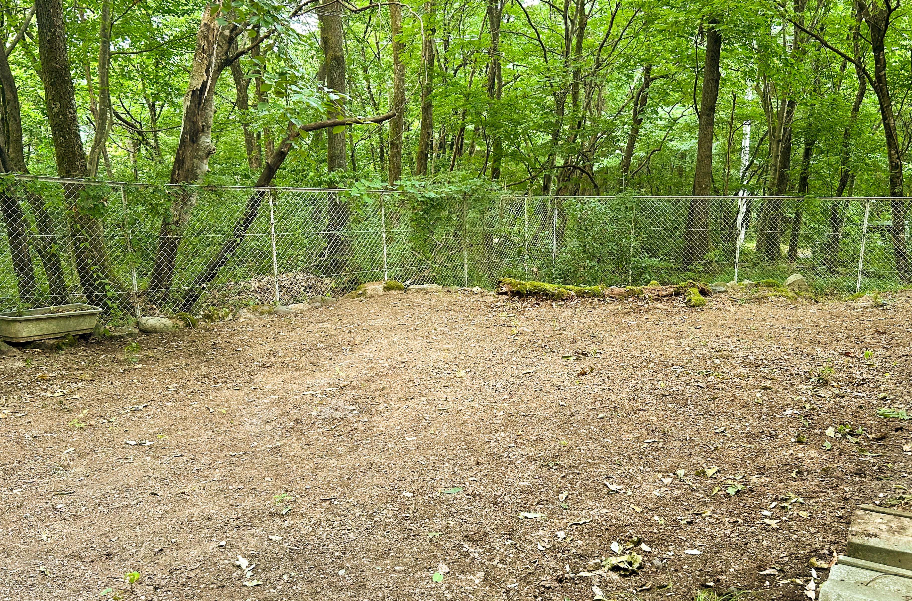 林亭 宿 -SHUKU-の施設写真