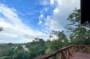 THE森大将の景色